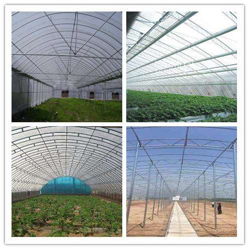 大棚膠水 溫室大棚滲漏修補(bǔ) 蔬菜大棚膠水